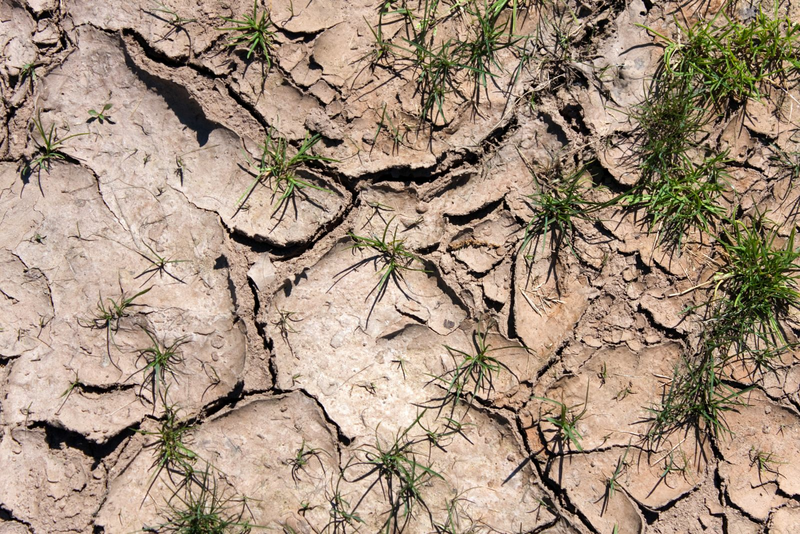 Weather - Desert Field Drought
